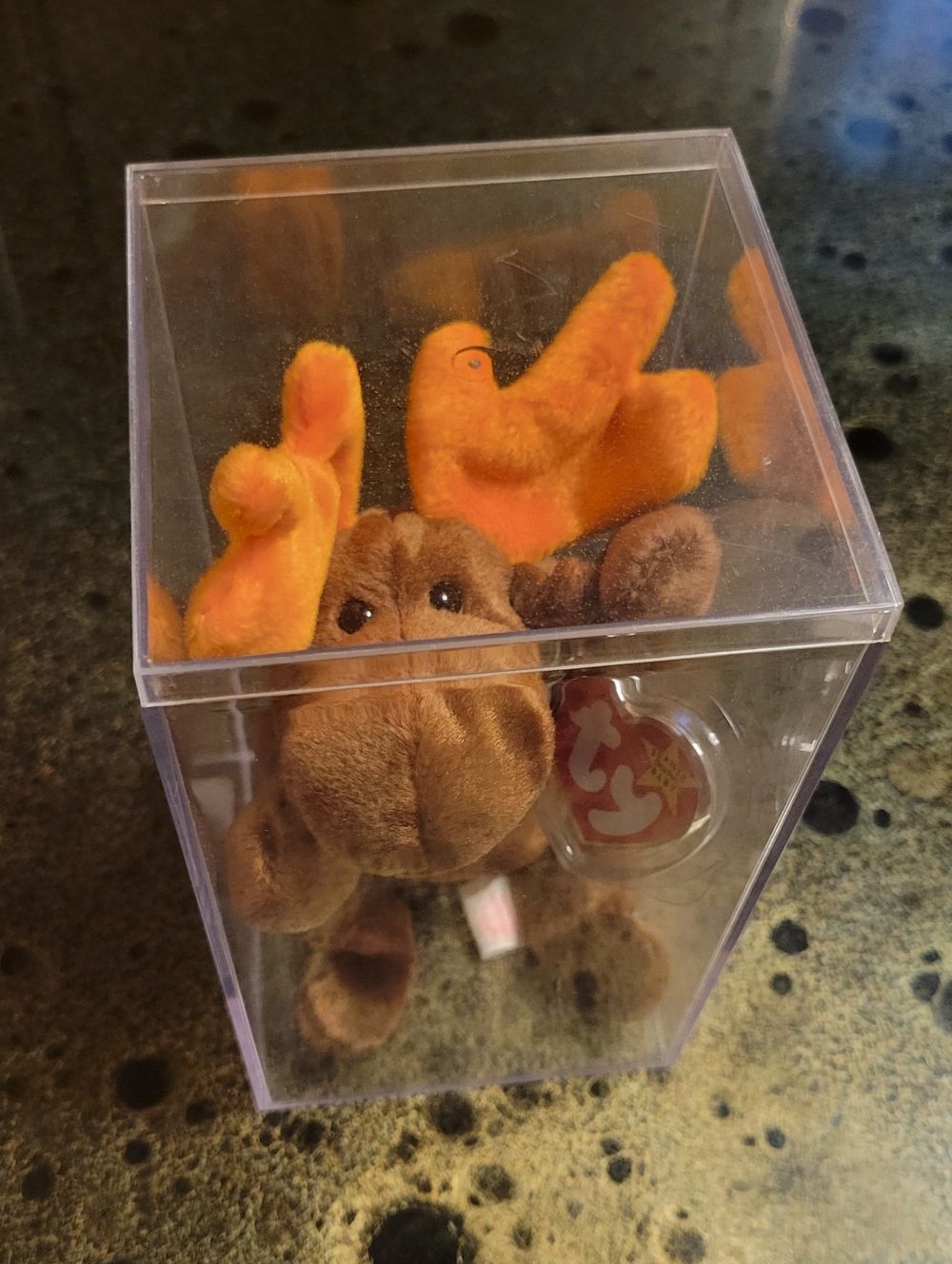 Ty Beanie Baby Retired Chocolate The Moose With Tag Protector & Display Case